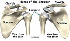 Shoulder Pain