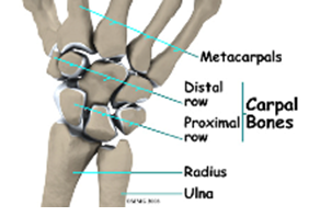 TFCC Injury